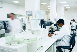 玫瑰綻放富陽(yáng)，國(guó)妝筑夢(mèng)未來 記杭州好公司的民族品牌之路